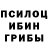 Псилоцибиновые грибы Psilocybe Maxim Voroncov