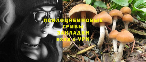 альфа пвп Армянск