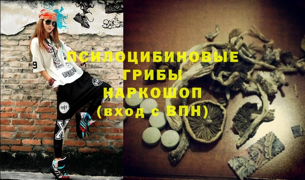бошки Арсеньев
